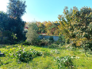 Photo de galerie - Avant 