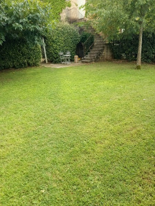 Photo de galerie - Tonte de pelouse - Débroussaillage