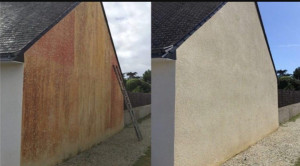 Photo de galerie - Traitement anti mousse / décapage de façade