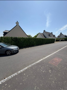 Photo de galerie - Taille d’une haie de Laurier ( Photo après )