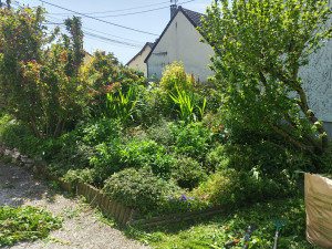 Photo de galerie - Jardinier