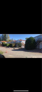 Photo de galerie - Taille de haie