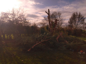 Photo de galerie - Démontage pin parasol