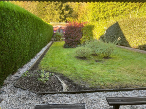 Photo de galerie - Tonte de pelouse - Débroussaillage