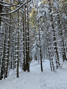Photo de galerie - Notre belle région 