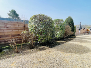 Photo de galerie - Remise en état d’un massif 