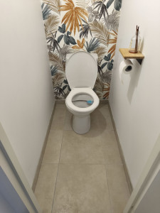 Photo de galerie - Remplacement WC par WC suspendu avec lave main intégré 
