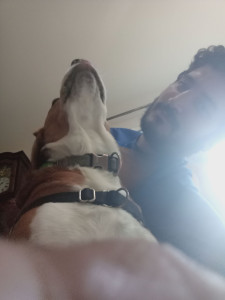 Photo de galerie - Garde chien