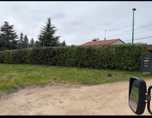 Photo de galerie - Résultat taille de haies 