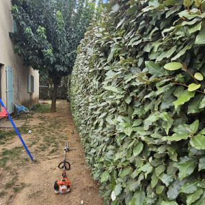 Photo de galerie - ? SERVICES DANS LE VAR (83) ?

Je propose mes services pour tous vos travaux de :

? Débroussaillage
? Élagage
? Abattage d’arbres
? Nettoyage de terrain et évacuation des déchets verts

Intervention pour petits et moyens chantiers,

