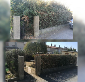 Photo de galerie - Taille de haie 