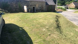 Photo de galerie - Tonte de pelouse - Débroussaillage