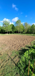 Photo de galerie - Entretien de potager après 