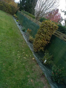 Photo de galerie - Plantation d'arbustes 