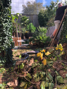 Photo de galerie - Paysagiste - Aménagement du jardin