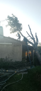 Photo de galerie - Sécurisation toiture après tempête 