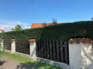 Photo de galerie - Taille de haie 