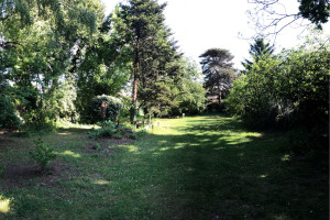 Photo de galerie - Tonte de pelouse - Débroussaillage