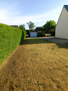 Photo de galerie - Taille de haie 
