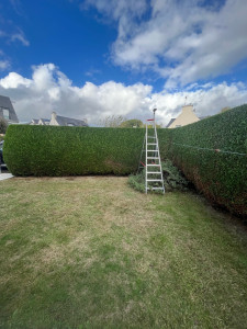 Photo de galerie - Taille de haies et d'arbustes