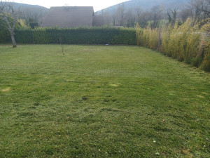 Photo de galerie - Tonte de pelouse - Débroussaillage