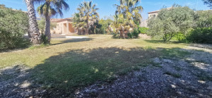 Photo de galerie - Tonte de pelouse - Débroussaillage