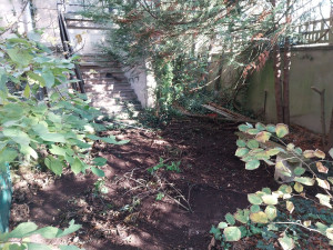 Photo de galerie - Taille de haies et d'arbustes