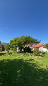 Photo de galerie - .