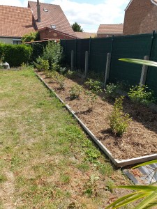 Photo de galerie - Paysagiste - Aménagement du jardin
