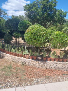Photo de galerie - Entretien jardin 