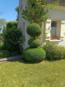 Photo de galerie - Taille artistiques 