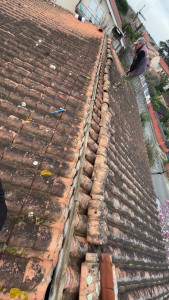 Photo de galerie - Couverture - Toiture