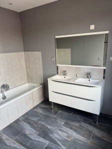 Photo de galerie - Salle de bain entièrement refaite 