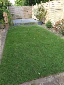 Photo de galerie - Après 