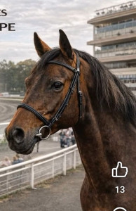 Photo de galerie - Services,  gardiennage etc...