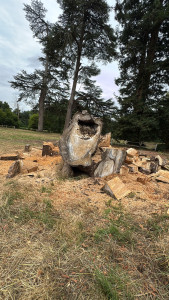 Photo de galerie - Débitage d’un tronc de Maronnier, 3m de long par 2m30 de large 