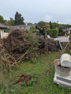 Photo de galerie - Débarras de déchets verts