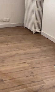 Photo de galerie - Parquet dans le Salon