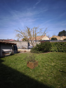 Photo de galerie - Petit élagage d'un sol tortueux 