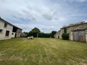 Photo de galerie - Tonte de pelouse plus une haie étayage d’arbustes