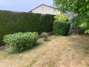 Photo de galerie - Taille de haie 