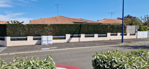 Photo de galerie - Taille de haies et d'arbustes