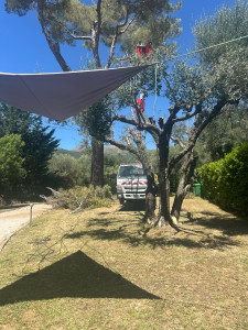 Photo de galerie -  coupe d’une branche dangereuse plus élagage 