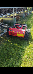 Photo de galerie - Tonte de pelouse - Débroussaillage