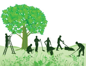 Photo de galerie - Jardinage..
Matériel que je dispose:
tondeuse à gazon, coupe bordure, taille haie + perche, tronçonneuse.