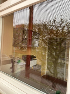 Photo de galerie - Préparation - nettoyage de salle