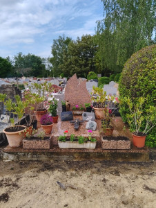 Photo de galerie - Une tombe fleurie et nettoyée...pour la joie monsieur 