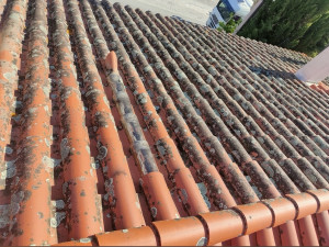 Photo de galerie - Couverture - Toiture