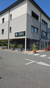 Photo de galerie - Ré implantation de végétaux dans les jardinières d un restaurant