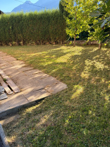 Photo de galerie - Tonte de pelouse - Débroussaillage